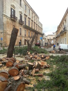 lavori_piazza_garibaldi