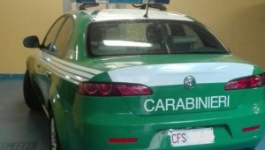 alfa-romeo-carabinieri-verde-2