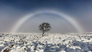 arcobaleno-bianco